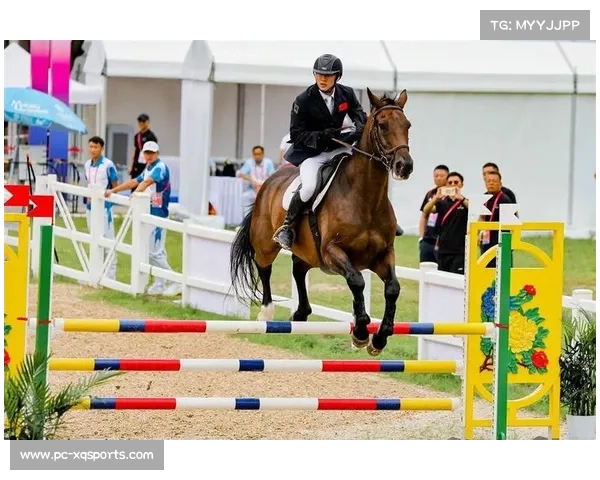 世界现代五项锦标赛：马术环节意外频发，瑞典老将稳健夺冠