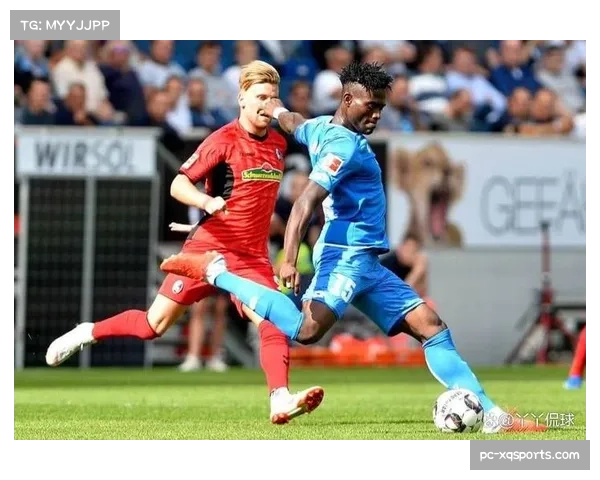 霍芬海姆2-2弗赖堡,两队上演进球大战各取一分 霍芬海姆2-2弗赖堡,两队上演进球大战各取一分